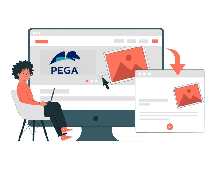 Pega Training and Placement Support